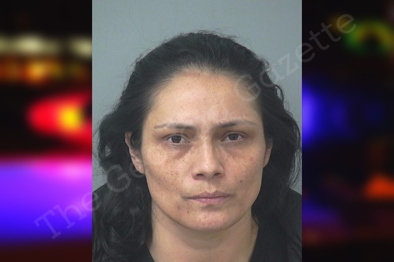 Nora Rojas Nora Guiterrez-Rojas — Gwinnett County