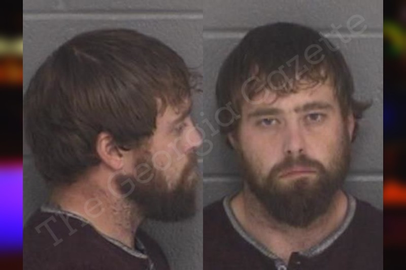 Michael Hardy Barrow County