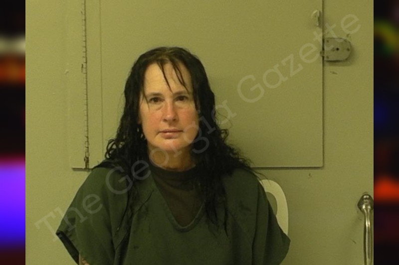 Lisa Wesley McIntosh County Jail Bookings