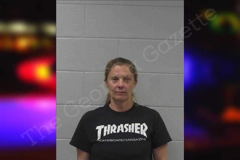 Melissa sarmiento gilmer county jail bookings