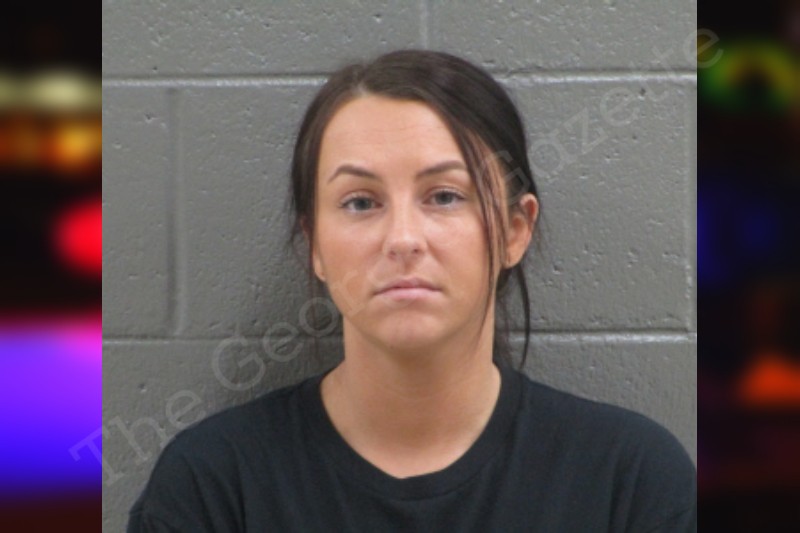 Savannah Sosebee Banks County Jail Bookings