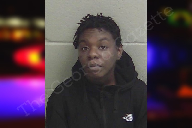 Brittany Gibbs Wayne County