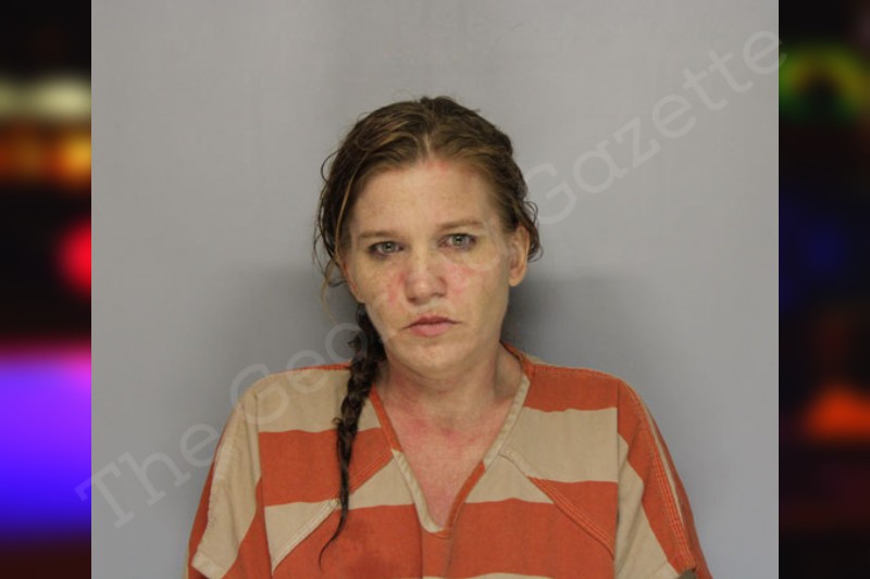 Ashley Hudson Hall County