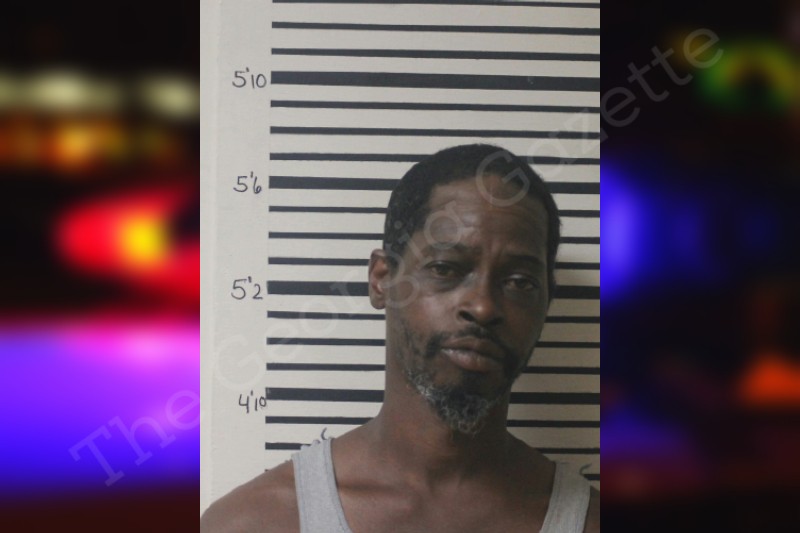 Nakia Johnson Toombs County Jail Bookings