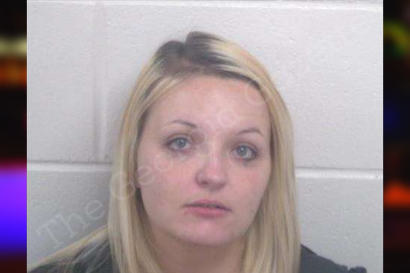 Carrie McIntosh Washington County Jail Bookings