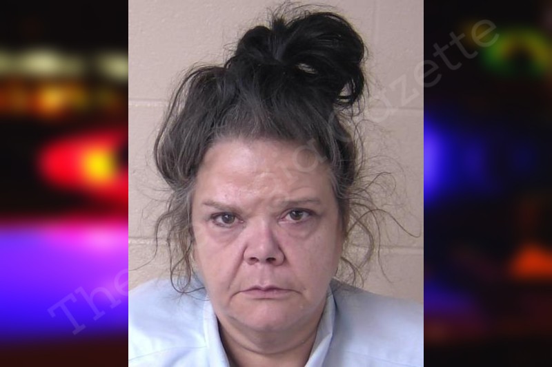 Christy McNabb Walker County Jail Bookings