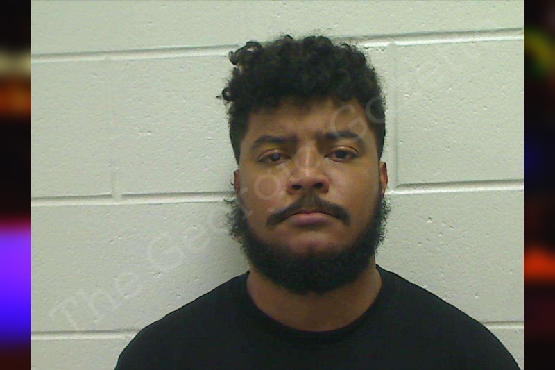 Harell Mitchell Bulloch County