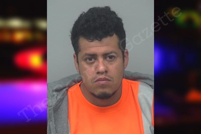 Mario ArteagaHernandez County