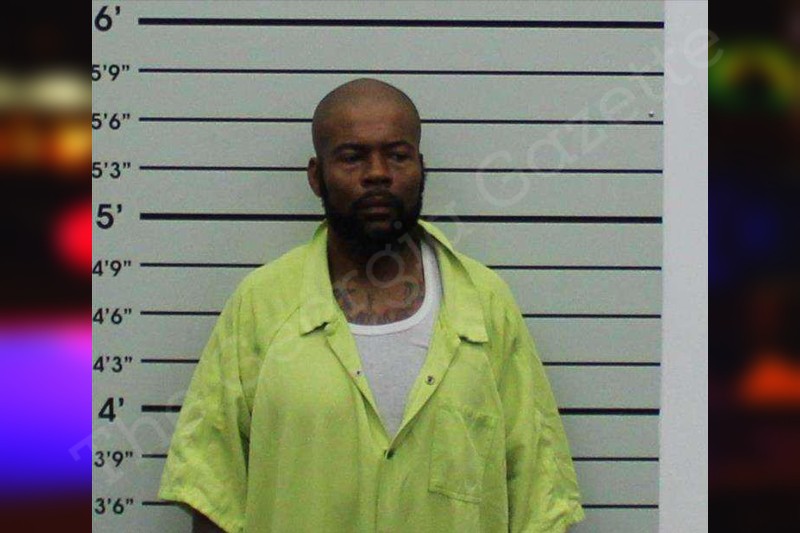 Datron Bryant Turner County