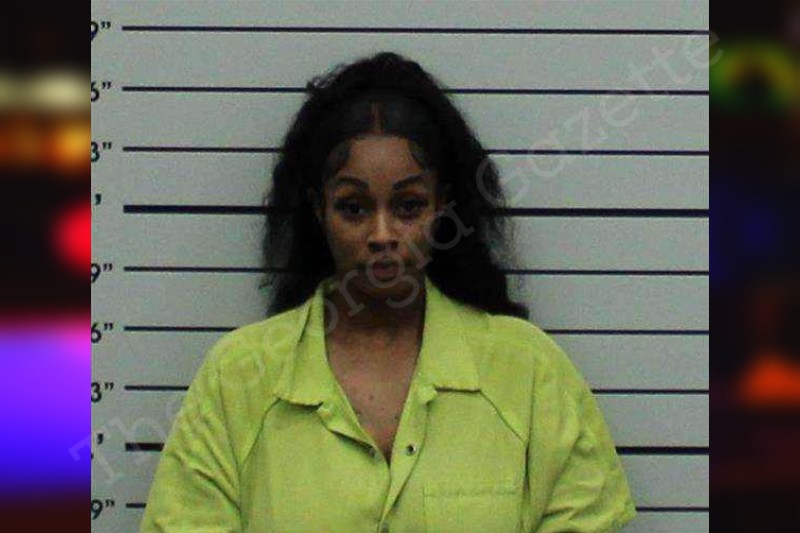 Gabrielle Genwright Turner County Jail Bookings