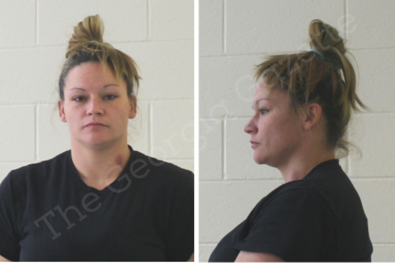 Brittany Hartley Houston County Jail Bookings