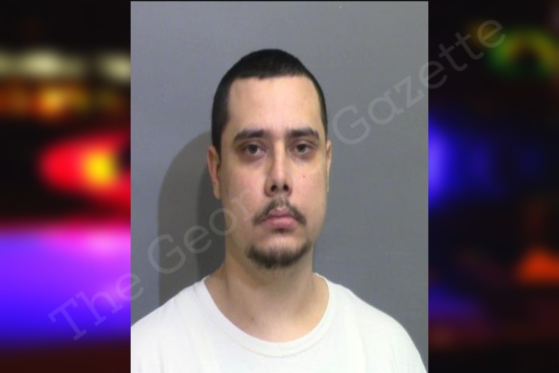 Dillon Jaworski Glynn County Jail Bookings