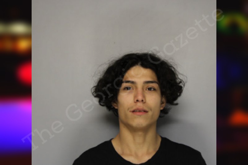 maynor-navarrete-hall-county