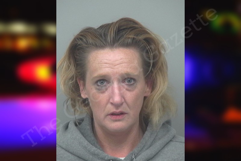 Karen Pritchard | Gwinnett County Jail Bookings