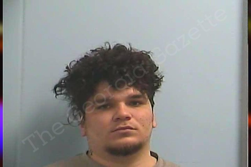 Brandon Reed — Dawson County Jail Bookings