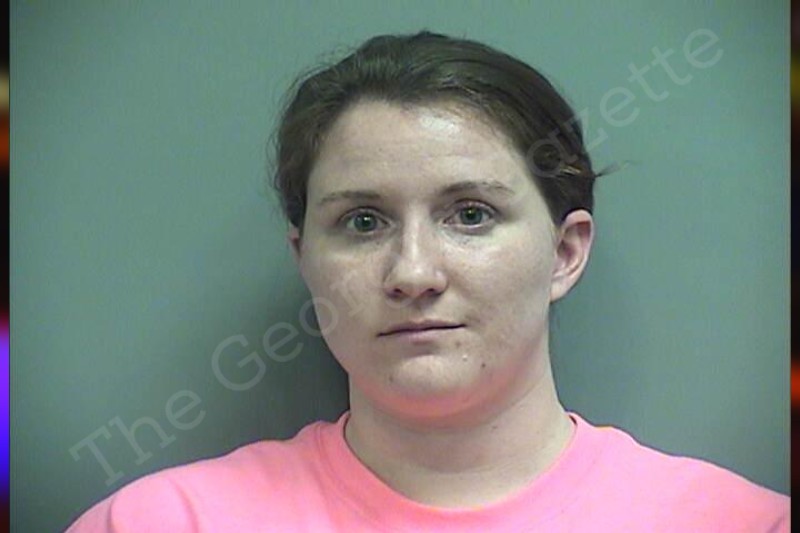 Sarah Shaner Effingham County Jail Bookings