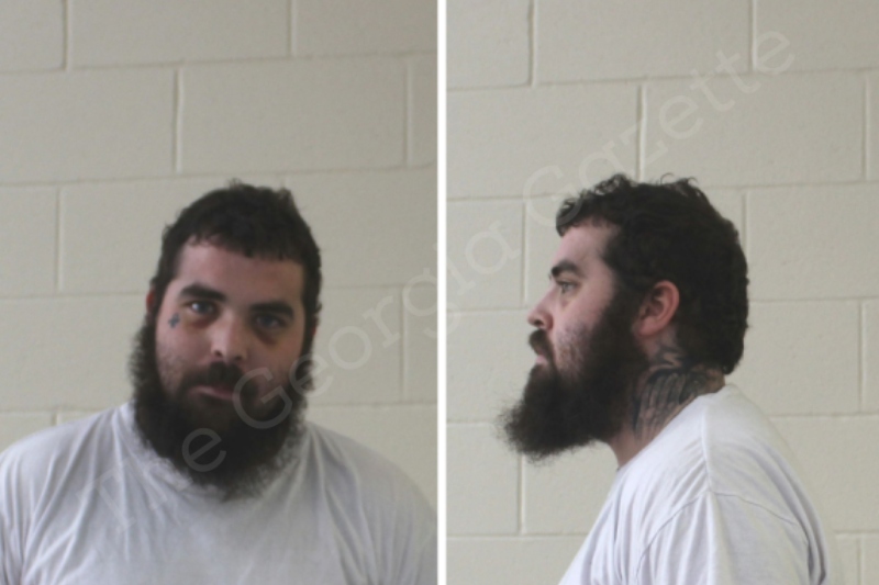 Alec Troutman Houston County Jail Bookings