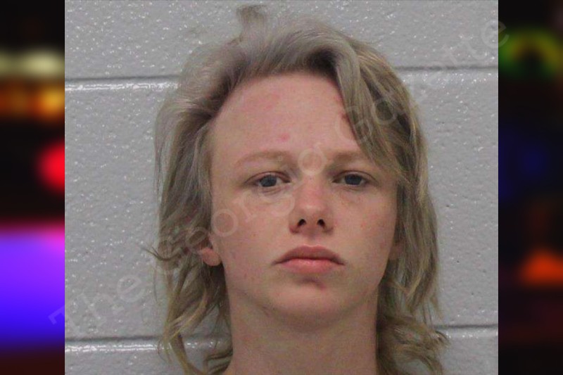 Brianna Adkins — Carroll County Jail Bookings