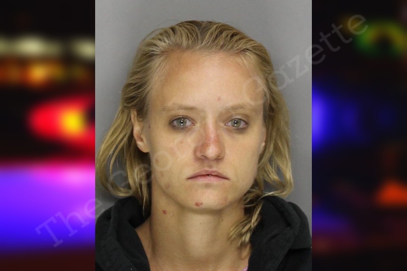 Dasha Arthur | Cobb County Jail Bookings