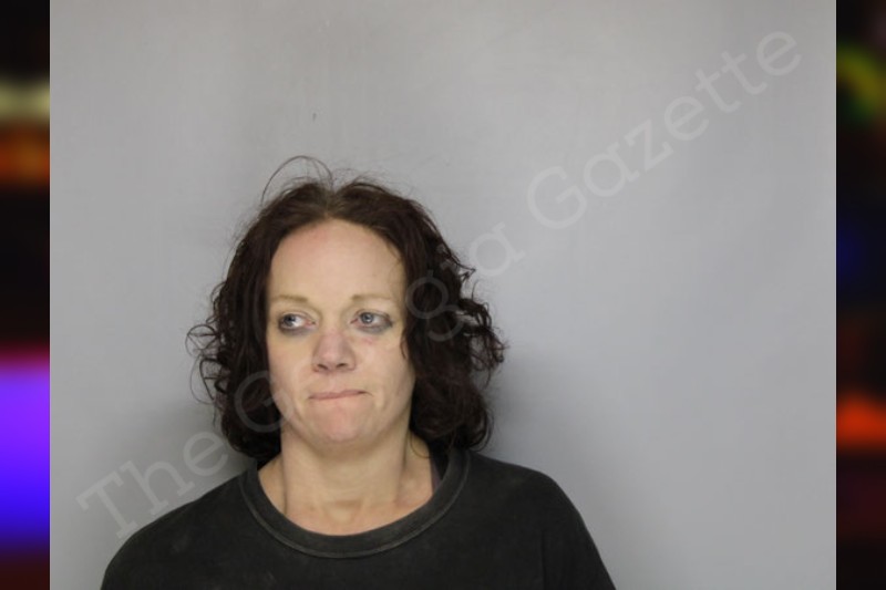 Crystal Coker — Hall County Jail Bookings