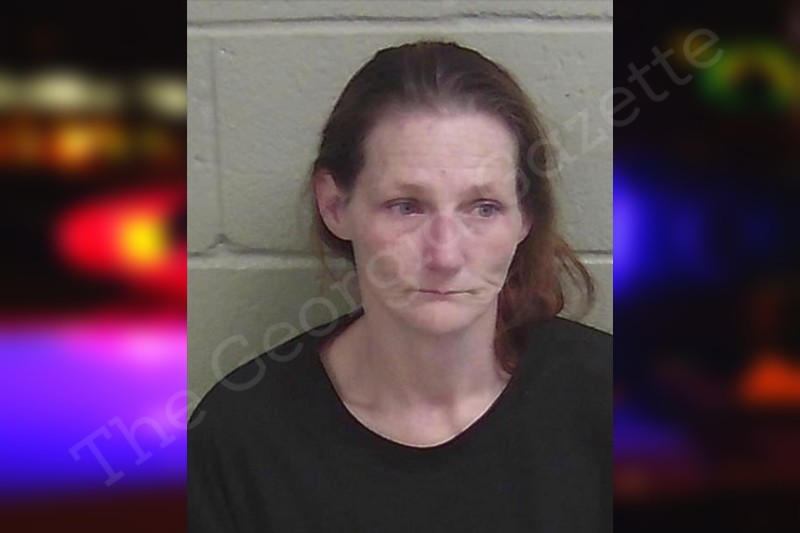 Brandy Cantwell Wayne County Jail Bookings