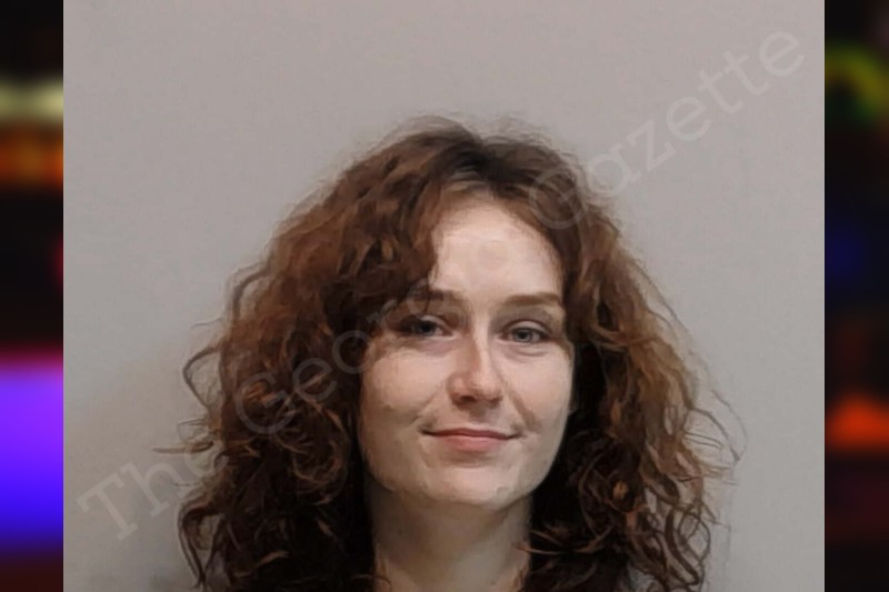 Hailie Cochran Bibb County Jail Bookings