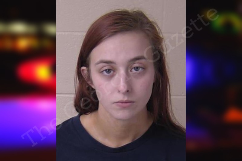 madison-jordan-walker-county-jail-bookings