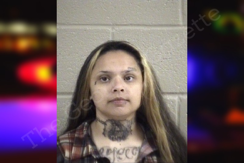 Maria Pimentel Whitfield County Jail Bookings