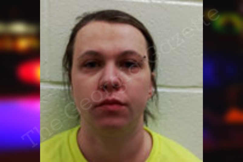 Ashley Price Henry County Jail Bookings