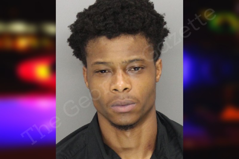 Michael Robertson Cobb County