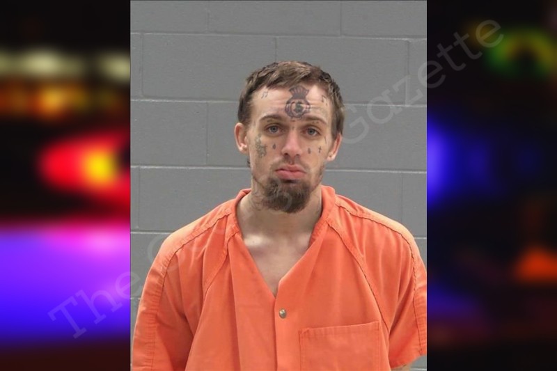 Jordan Sanford Baldwin County Jail Bookings