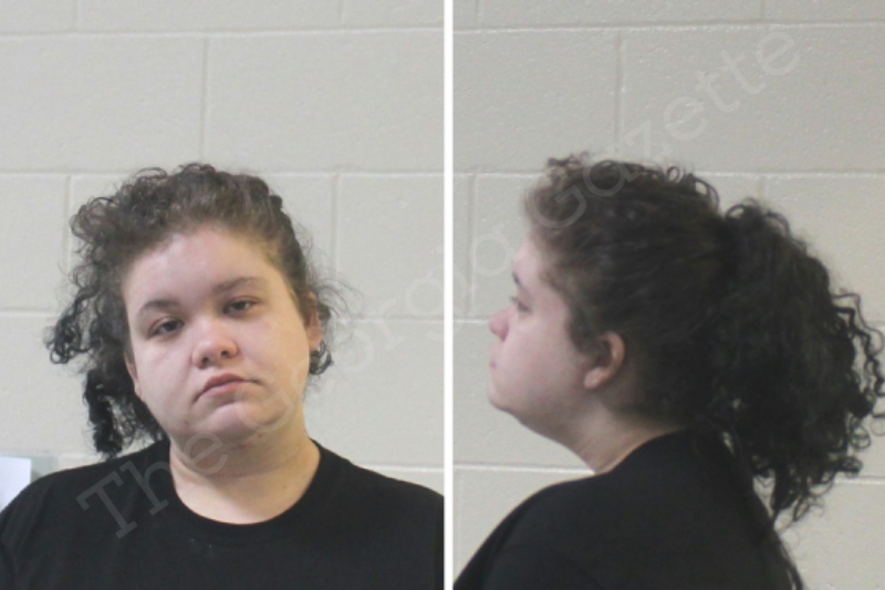 Alexis Townsend Houston County Jail Bookings