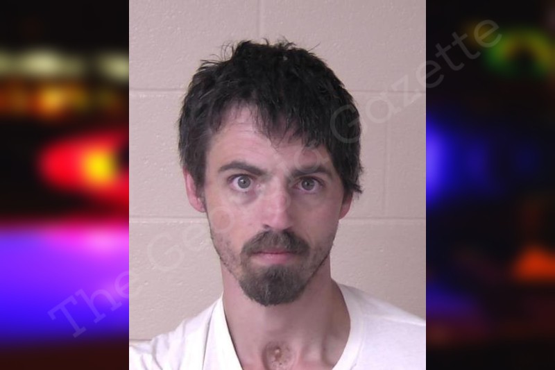 Stephen White Walker County