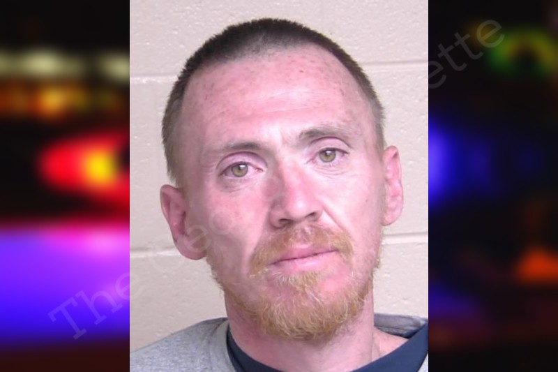 Adam Whitmire Walker County Jail Bookings