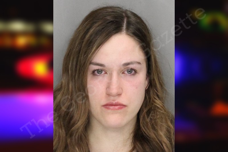 Hayden Yarbrough Cobb County Jail Bookings