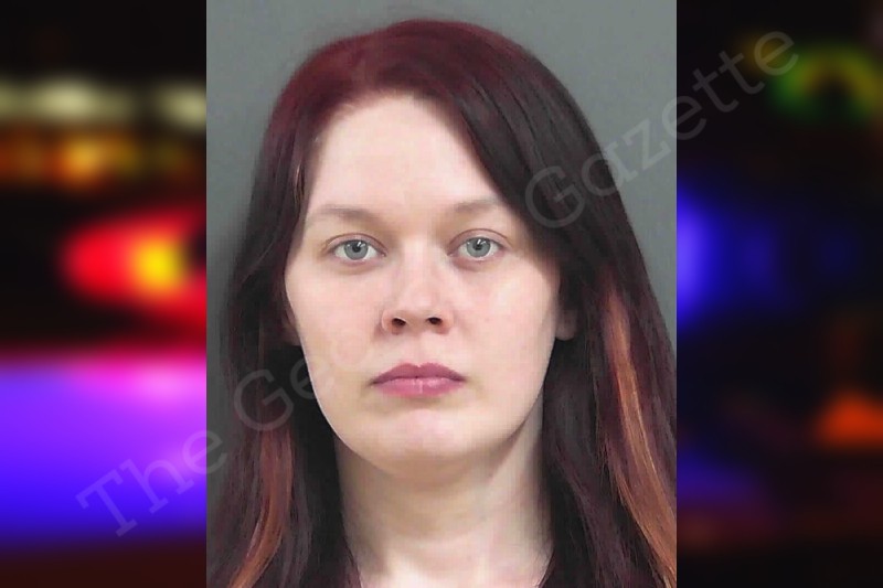 Sarah blankenship gordon county jail bookings