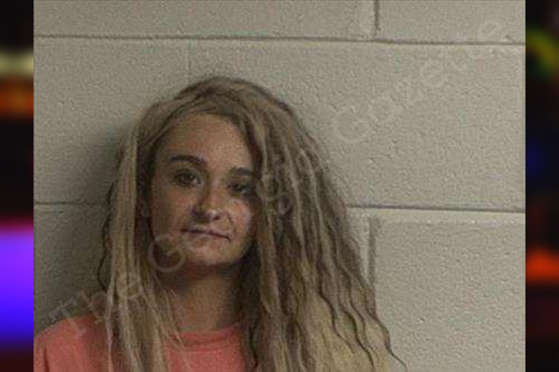 Nicole dye crawford county jail bookings