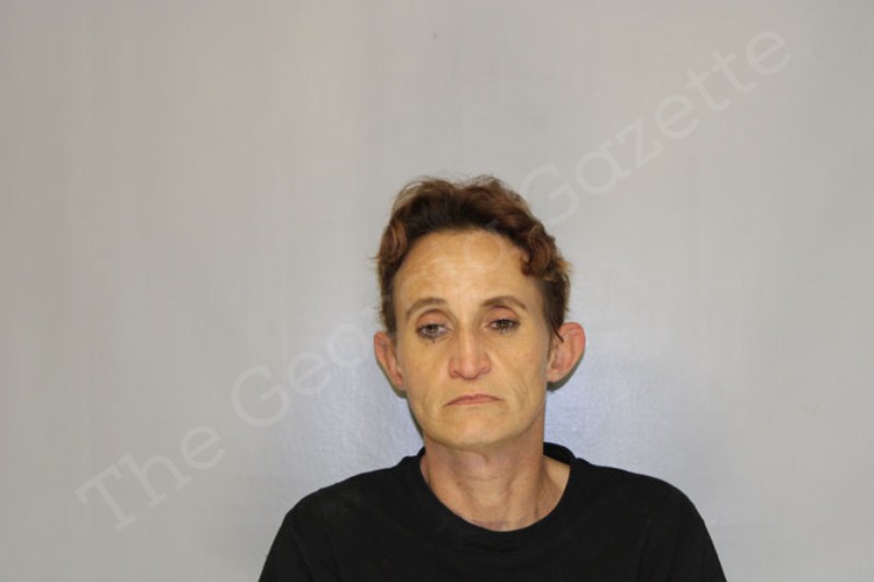 Amy Elliott Hall County