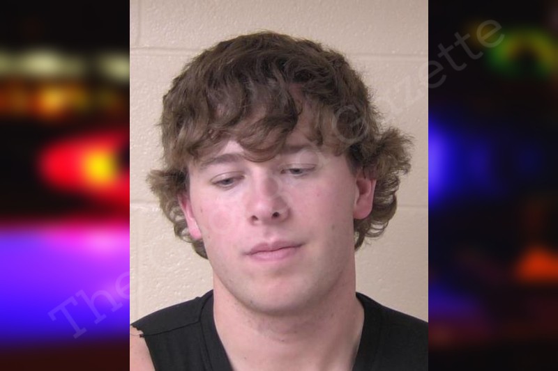 Truston Everette Walker County Jail Bookings