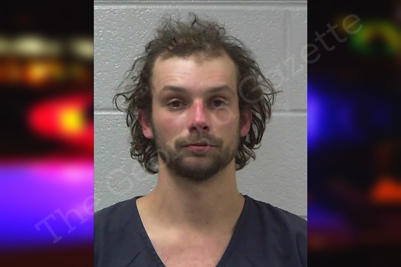 Dillon Godfrey Gilmer County Jail Bookings