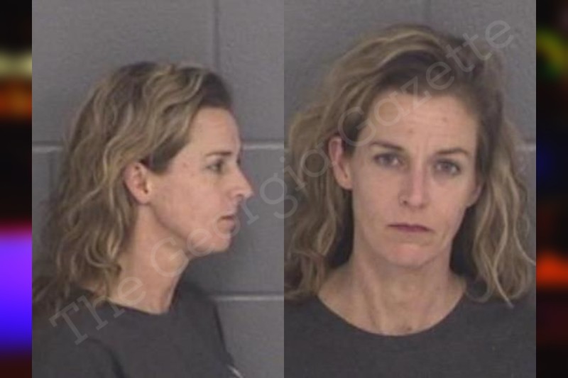 Renee Grimes Barrow County Jail Bookings renee-grimes-barrow-county-jail-bookings