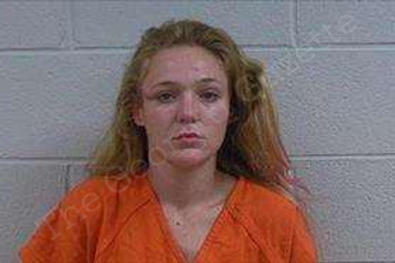 Ivy Hudgins | Polk County Jail Bookings