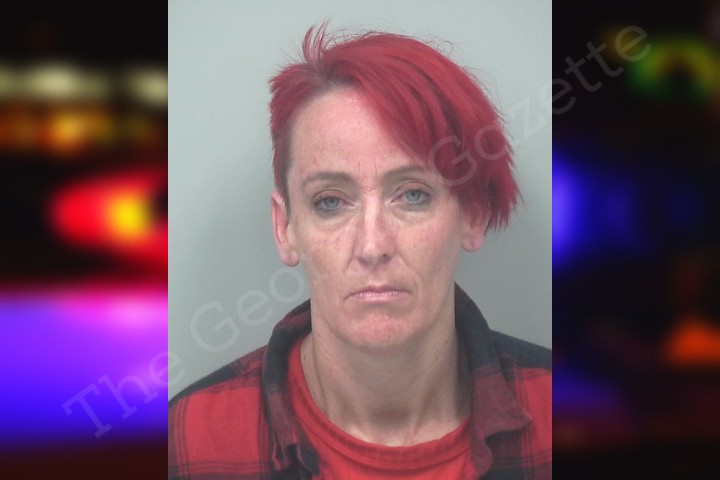 Angela Kirchner — Gwinnett County Jail Bookings