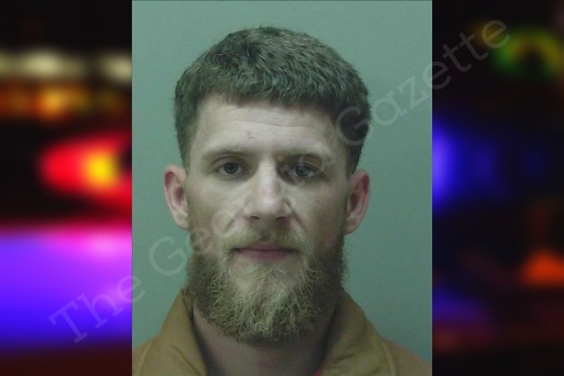 Joshua Lindley Towns County Jail Bookings