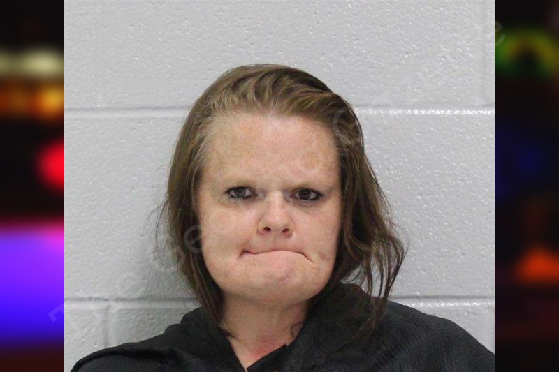 Amy Milam Carroll County Jail Bookings