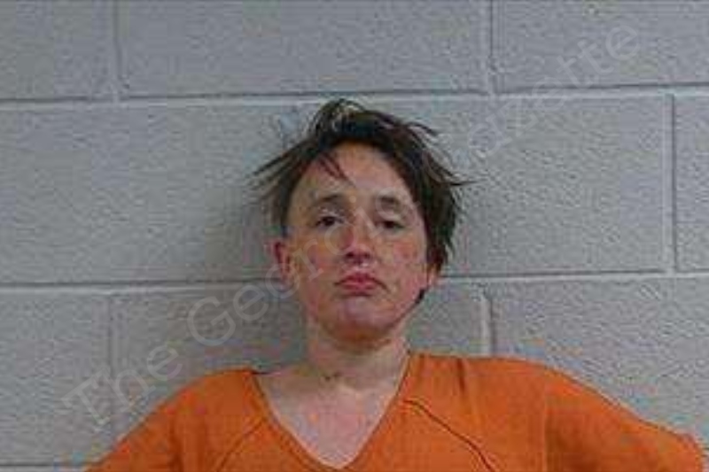 Chelsea Mahaffey Polk County Jail Bookings