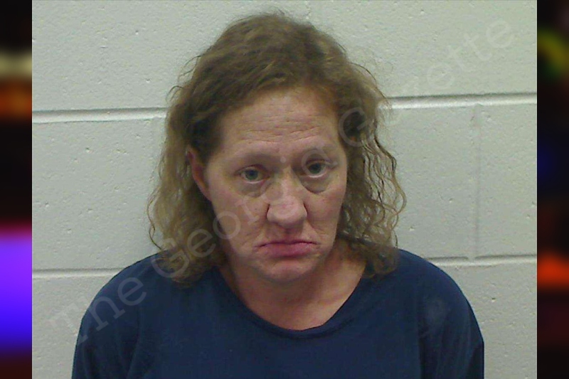 Shelly Mann Bulloch County