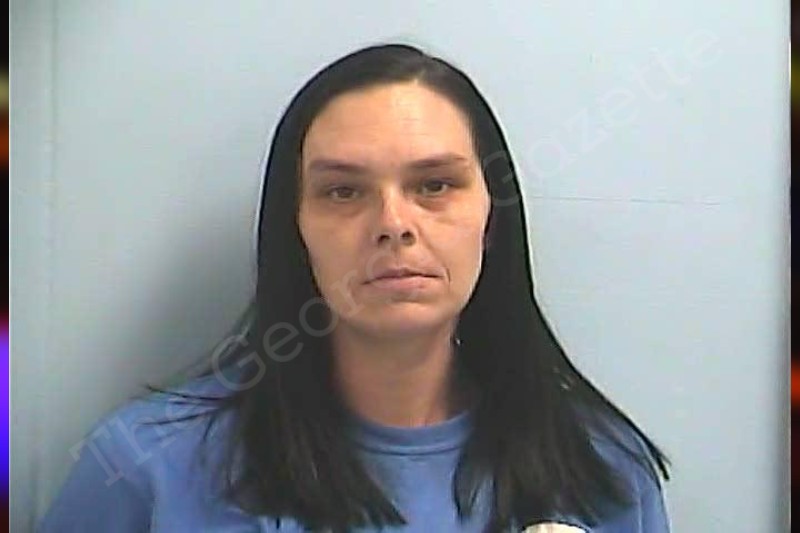 Jennifer Mills | Dawson County Jail Bookings