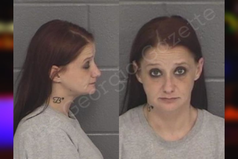 Holly Sanders Barrow County