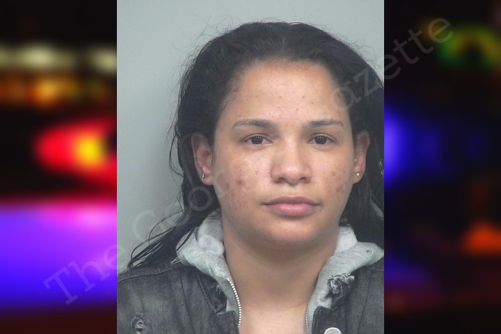 Diana Tavarez – Hernandez | Gwinnett County Jail Bookings